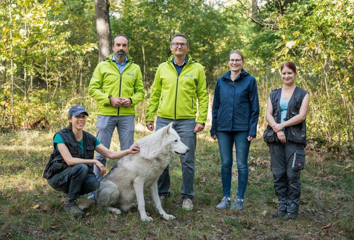 Vetmeduni Windkraft Simonsfeld Unterstützt Wolf Science Center Wsc 