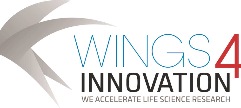 Graphic: wings4innovation GmbH