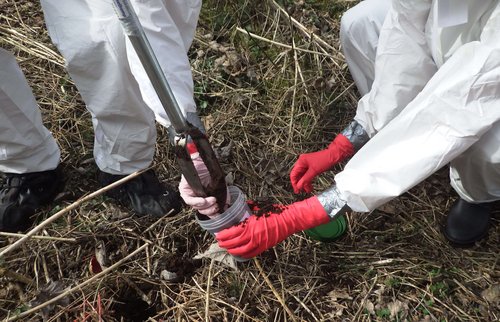Soil sampling taken with a hand drill Soil sampling taken with a hand drill