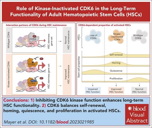 Graphical abstract, Mayer et. al/blood