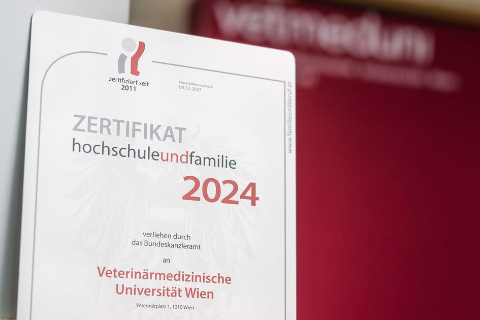 Zertifikat Hochschule und Familie 2024