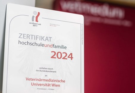 Zertifikat Hochschule und Familie 2024