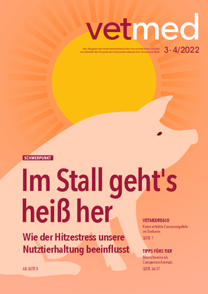 03-04/2022: Im Stall geht´s heiß her