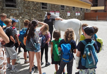 Am Lipizzanergestüt Piber