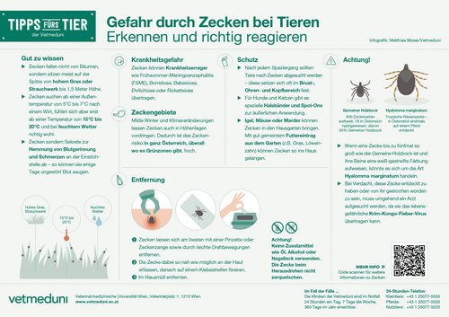 Infografik Gefahr durch Zecken