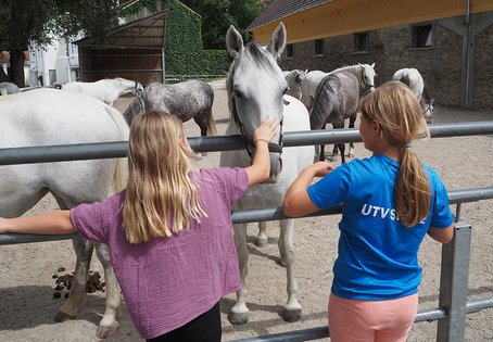 Kinder am Lipizzanergestüt Piber 