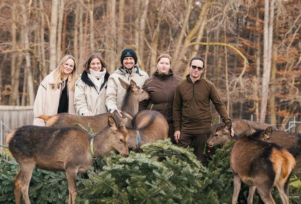 Mitarbeiter*innen mit Christbäumen und Hirschkälbern