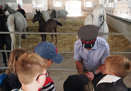 Kinder auf dem Lippizzanergestüt Piber