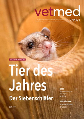 02/2021: Tier des Jahres - Der Siebenschläfer