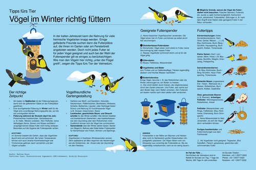 Illustration Wintervogelfütterung