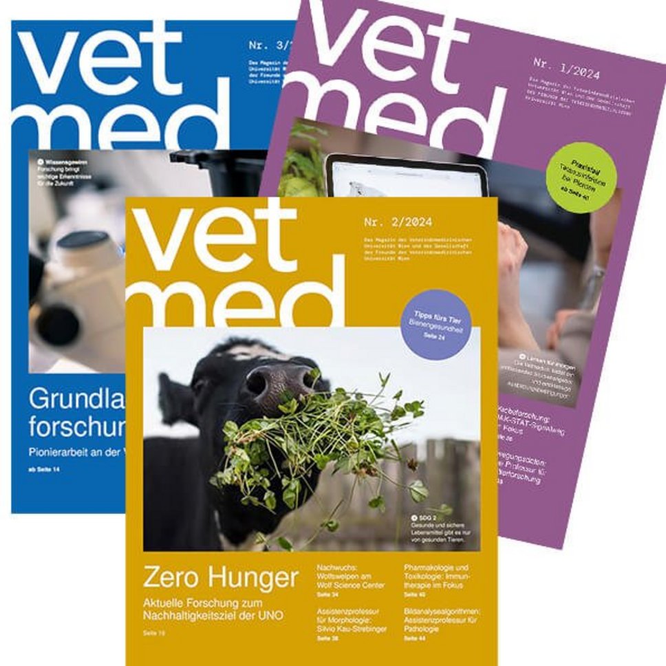 Vetmed-Magazincover