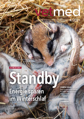 04/2021: Standby - Energie sparen im Winterschlaf