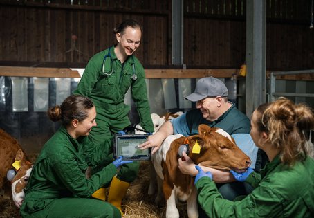 Malina Flessner, Mathias Gosch, Michael Iwersen und Barbara Pichlbauer mit Kalb und Tablet.