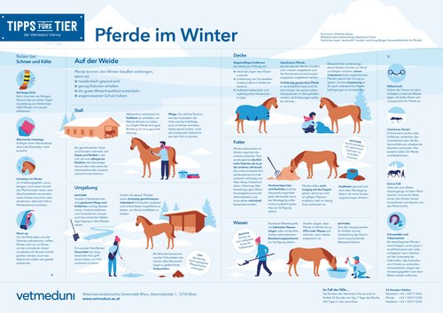 Tipps fürs Tier - Pferde im Winter