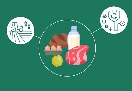 Illustration VetmedTalk Nahrung für Alle